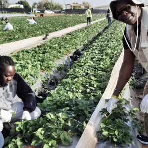 A New, Authentic Black-Jewish Alliance is Forming!