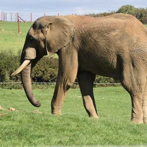 Summer in New Zealand